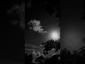 Tujhe Jeet Jeet Haaroon Saiyaan Lyrics Video Aesthetic Status