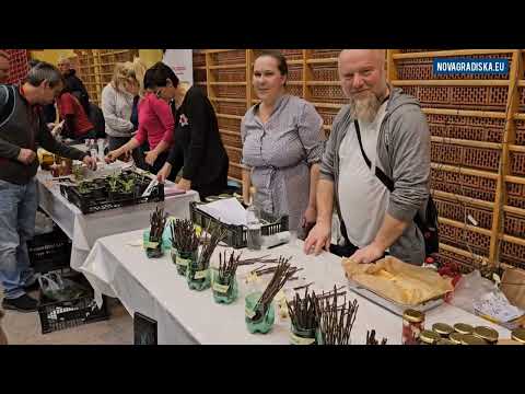 SAČUVAJMO STARE SORTE - Cernik 2024.