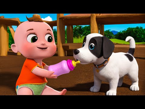 Baby Bingo Song New Compilation | Old MacDonald Had A Farm | Nursery Rhymes & Kids Songs Baby Angel