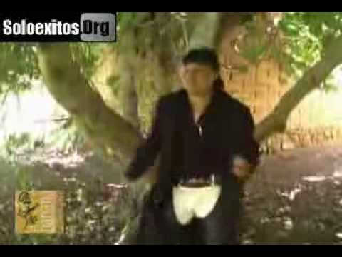 Regresa - Grupo Enlace