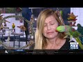 Dr. Lutz: What is Parrot Fever?