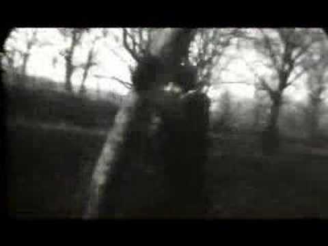 Toshi - misty love [pv]