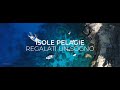 Pelagie Islands Give Yourself A Dream
