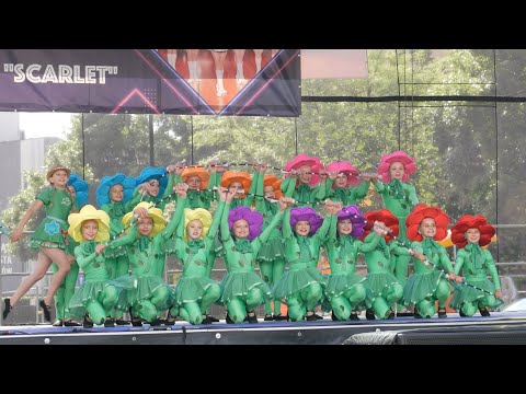 Mażoretki Fenix - Radlin  | baton formacja  | Knurów