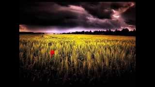 L&#39;Amore S&#39;impara