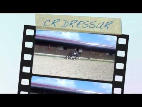 BORN TO DANCE 3j BENETTON DREAM X WELTMEYER / SOLD TO ENGLAND