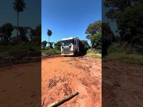 Fazenda Terra Roxa Boracéia - SP