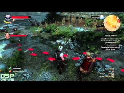 The Witcher 3 (PS4) playthrough pt131 - Survivor Search/Dinner Will Be Late
