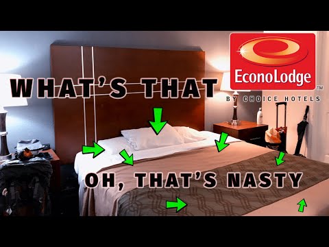 Econo Lodge Hotel Review - The Bad and The Ugly | Downtown Eugene Oregon