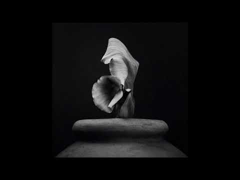 Pedro Duarte - Dahlia