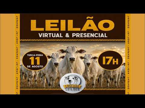 LEILÃO VIRTUAL E PRESENCIAL LAGEADO LEILÕES ITAPAGIPE MG 11/08/2026.