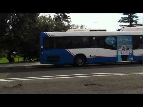 Sydney Buses - Sydney Australia