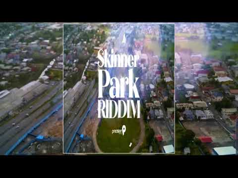 DJ Venum presents: Skinner Park Riddim Mix