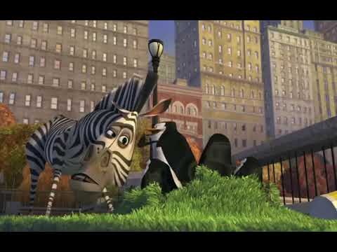 MADAGASCAR | EVIA FILM PROJECT 4