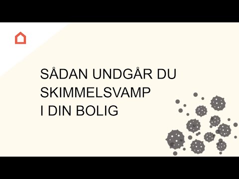Sådan undgår du skimmelsvamp i din bolig