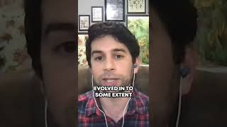 Did humans cause the ice age? #iceage #science #nature #naturalhistory #biology #podcast