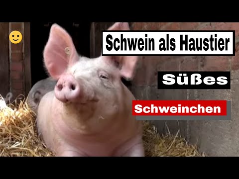 jürg_B