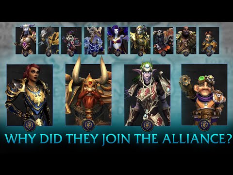 "Why Did They Join The Alliance?" - Warcraft Race Origins EXPLAINED