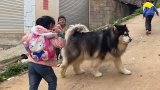 [問卦] 哇靠! 大王在路上橫著走 躺著賺 