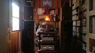 Lauren White : Do you remember : At last