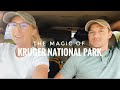 The Magical Kruger National Park | Satara Rest Camp