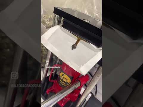 Prensa térmica Rosin Press, extraindo extrato de CBD!