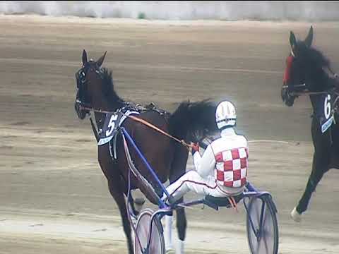 Trotto 22/04/2019 - 4ª corsa