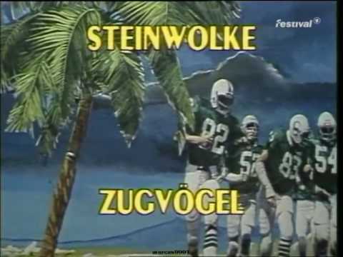 Steinwolke - Zugvögel (Bananas)