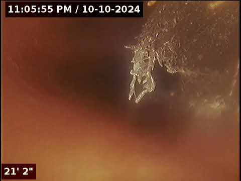 1349 Kenton St., Aurora, CO 80010 AURORA TOWARS MAIN ALLEY