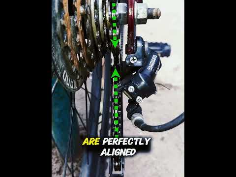 Ultimate Bicycle Maintenance Hacks You Need to Try!