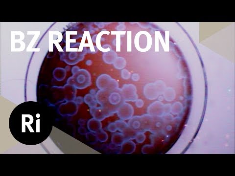 The Belousov-Zhabotinsky Reaction - Christmas Lectures with Ian Stewart