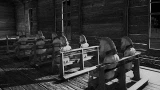 HORSES announcement trailer teaser