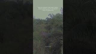 Download lagu Story wa 30 detik terbaru 2023 || Sajak kata || status galau || sad story 2023 mp3 Download lagu Story wa 30 detik terbaru 2023 || Sajak kata || status galau || sad story 2023 mp3