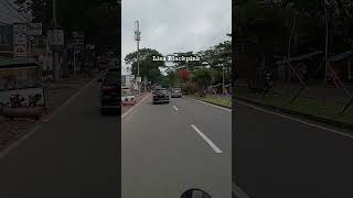 Download lagu Lagu India ❎ Lagu K0rb4n Filter ✅ #jokes #kocak #laguindia #laguviral #lucu #ngakak #viral mp3