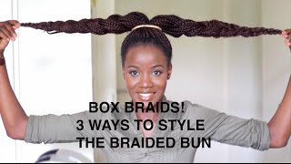 BOX BRAIDS | 3 WAYS I STYLE MY BRAIDED BUN