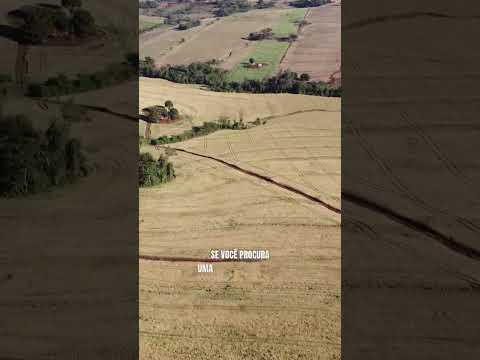 SITIO EM JESUITAS PARANA ESTAMOS VENDENDO