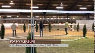 Video of For my Pleasure