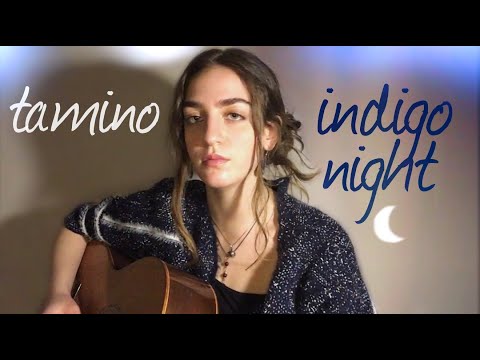 Tamino - Indigo Night | Cover by Ada Cebe