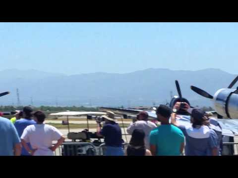 Argonaut being chase by a Big Cat!