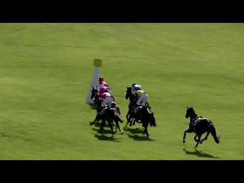 6. dostih - Zlatý pohár - Cena předsedy PS parlamentu ČR - dostihy Pardubice 8. 6. 2019