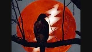 The Grateful Dead - Blackbird