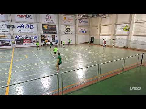 J2-UVASDOCE-EMB.NOMPOT 7 & 3 WERDER BREMEN 