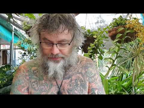 ACIM WB Lesson 46 ~ A COURSE IN MIRACLES WORKBOOK LESSONS ~ 365 DAYS W/ DAVE PHARE