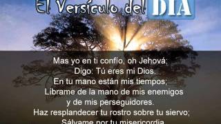 Miniatura del video: El versiculo del dia .com - Salmos 31 v14-16