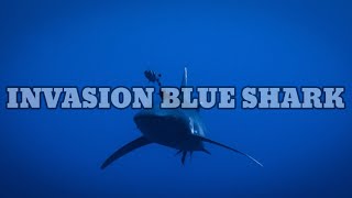 Download lagu INVASION BLUE SHARK DJ JUNGLE DUTCH 2022 || TRAP REMIX mp3 Download lagu INVASION BLUE SHARK DJ JUNGLE DUTCH 2022 || TRAP REMIX mp3