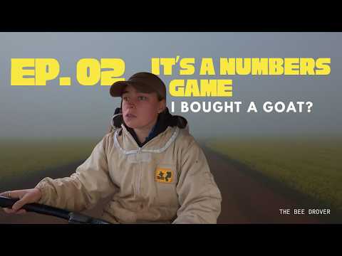 If These Bees Don’t Build, We Don’t Get Paid