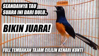 Download lagu MEWAH!! MURAI BATU GACOR FULL TEMBAKAN TAJAM CILILIN KENARI KUNTI PANJANG UNTUK MASTERAN & PANCINGAN mp3