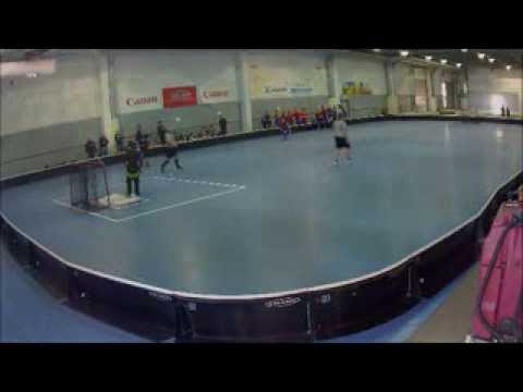 Maalikooste Tiikerit vs Blackbirds 2/2/14