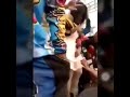 Gilak Bnget Satu Cewek Digoyang Rame2