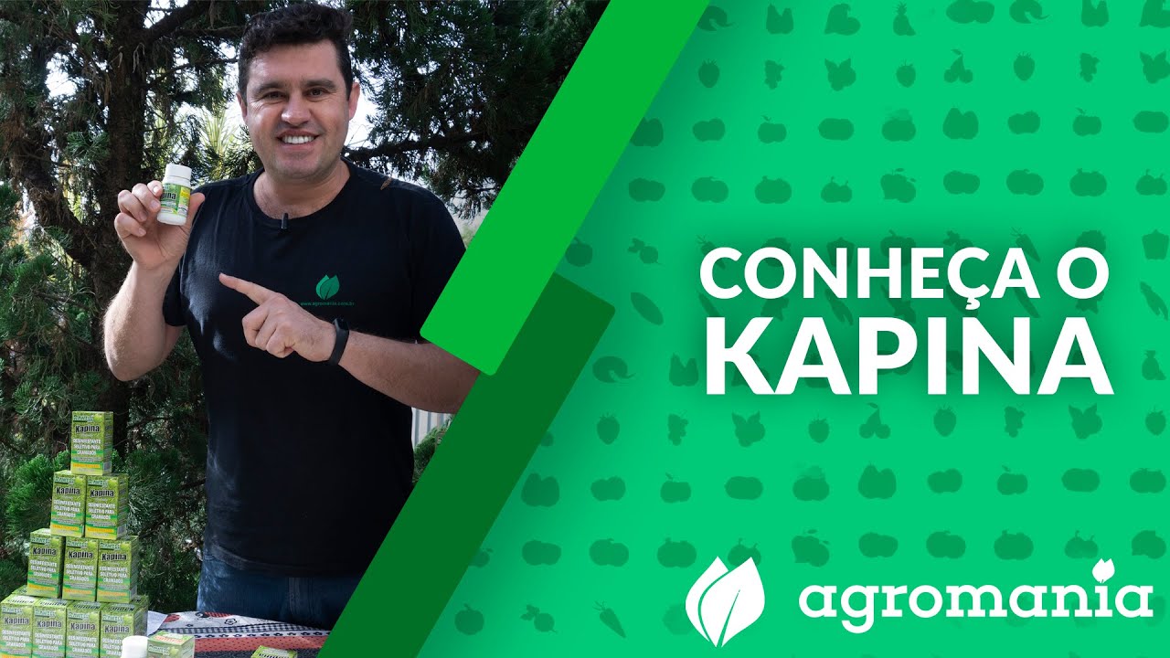 Como acabar com a tiririca no gramado utilizando Kapina